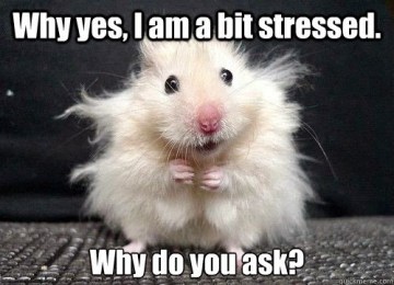 i-am-stressed-mouse